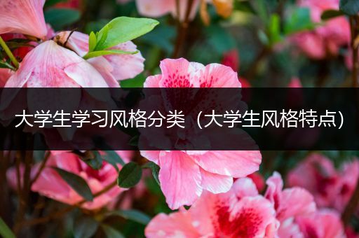 大学生学习风格分类（大学生风格特点）