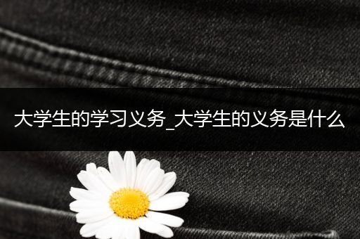 大学生的学习义务_大学生的义务是什么