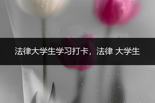 法律大学生学习打卡，法律 大学生
