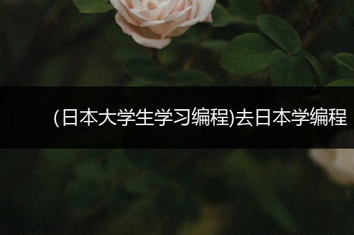 （日本大学生学习编程)去日本学编程