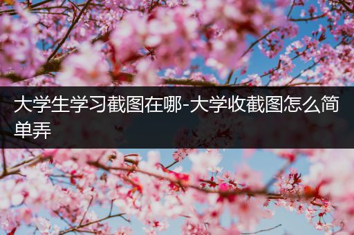 大学生学习截图在哪-大学收截图怎么简单弄