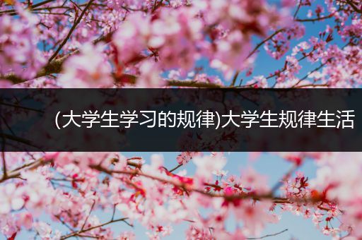 （大学生学习的规律)大学生规律生活