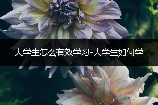 大学生怎么有效学习-大学生如何学
