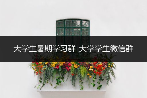 大学生暑期学习群_大学学生微信群
