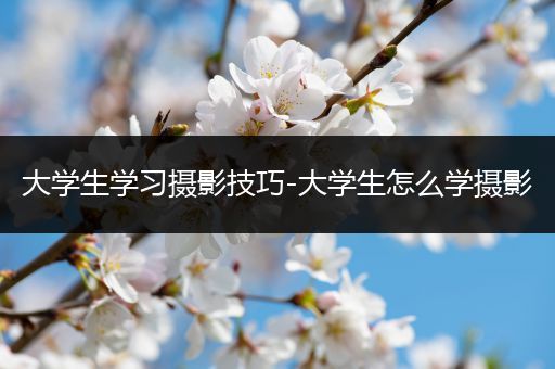 大学生学习摄影技巧-大学生怎么学摄影