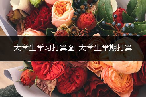 大学生学习打算图_大学生学期打算
