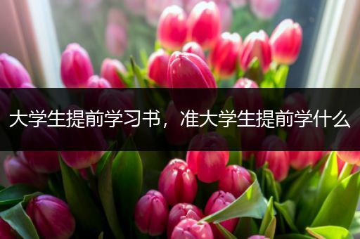 大学生提前学习书，准大学生提前学什么
