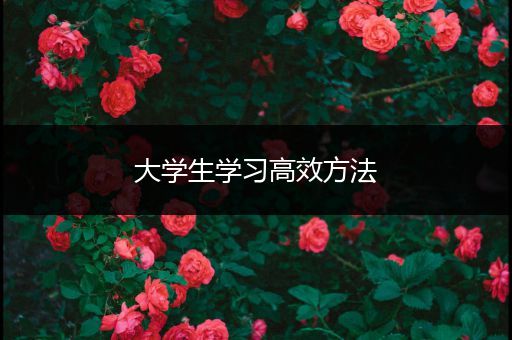 大学生学习高效方法