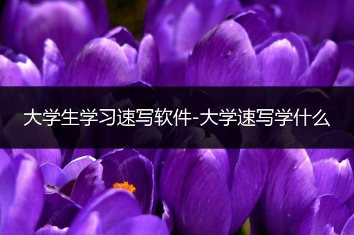 大学生学习速写软件-大学速写学什么