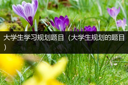 大学生学习规划题目（大学生规划的题目）