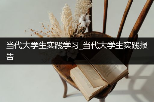 当代大学生实践学习_当代大学生实践报告