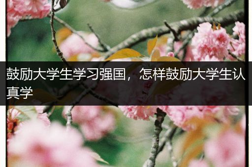 鼓励大学生学习强国，怎样鼓励大学生认真学