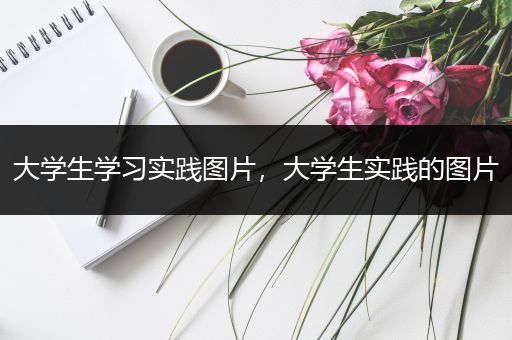 大学生学习实践图片，大学生实践的图片