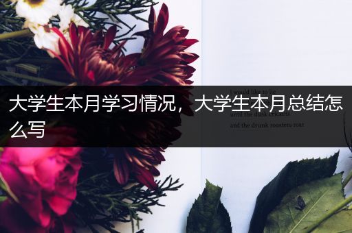 大学生本月学习情况，大学生本月总结怎么写