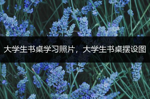 大学生书桌学习照片，大学生书桌摆设图