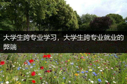大学生跨专业学习，大学生跨专业就业的弊端
