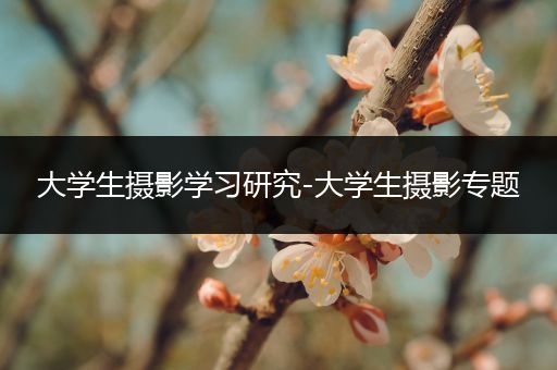 大学生摄影学习研究-大学生摄影专题
