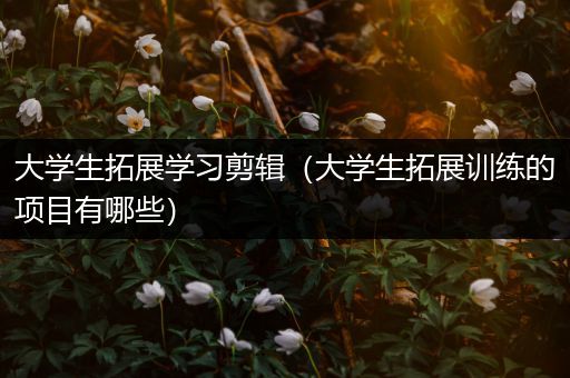 大学生拓展学习剪辑（大学生拓展训练的项目有哪些）