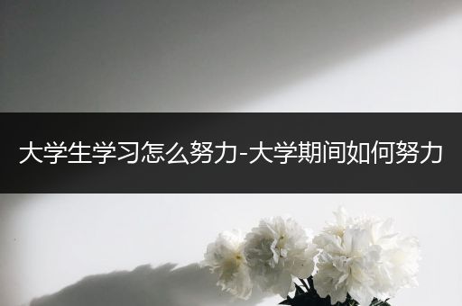 大学生学习怎么努力-大学期间如何努力