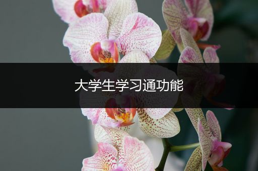 大学生学习通功能