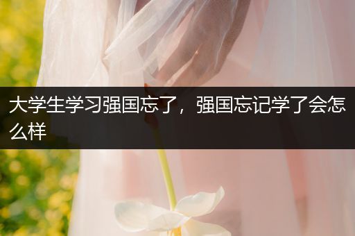 大学生学习强国忘了，强国忘记学了会怎么样