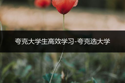 夸克大学生高效学习-夸克选大学