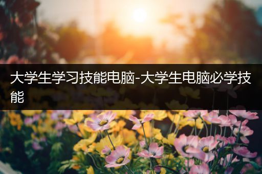 大学生学习技能电脑-大学生电脑必学技能