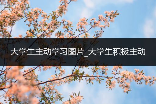 大学生主动学习图片_大学生积极主动