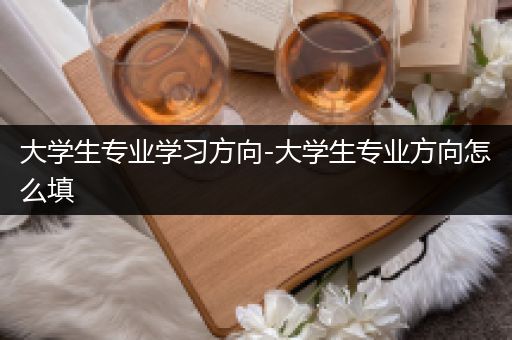 大学生专业学习方向-大学生专业方向怎么填