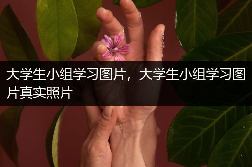大学生小组学习图片，大学生小组学习图片真实照片