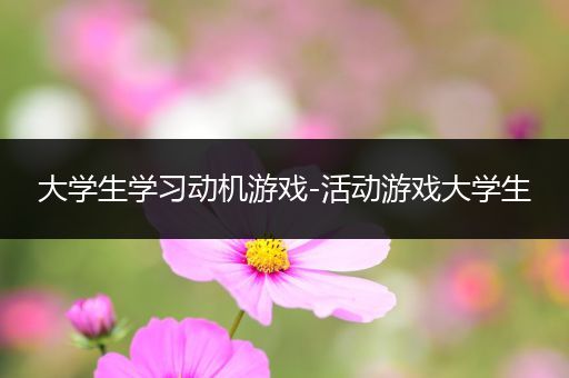 大学生学习动机游戏-活动游戏大学生