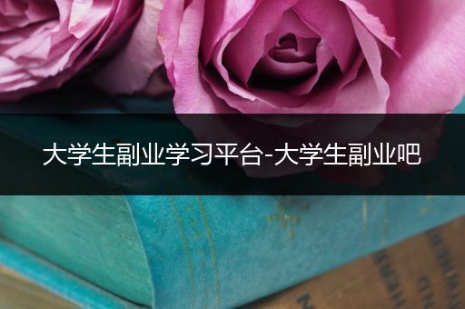 大学生副业学习平台-大学生副业吧