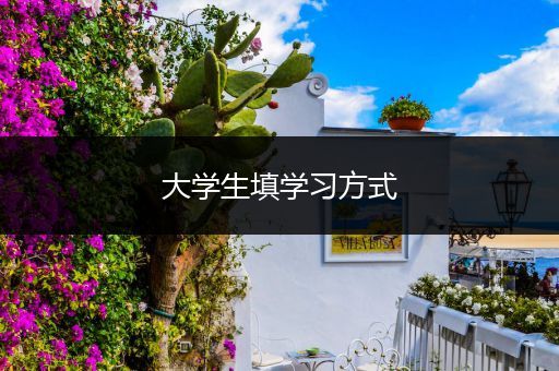大学生填学习方式