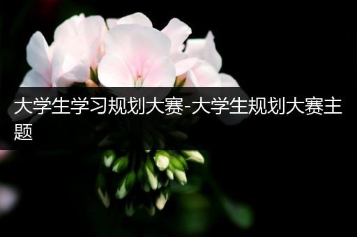 大学生学习规划大赛-大学生规划大赛主题