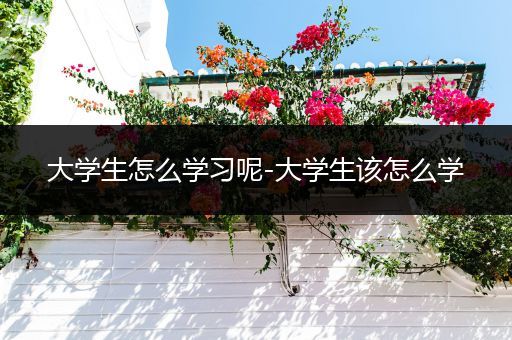 大学生怎么学习呢-大学生该怎么学