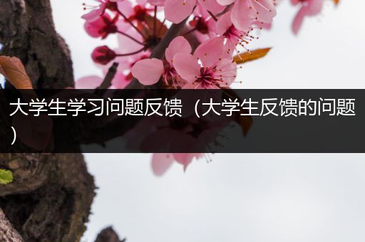 大学生学习问题反馈（大学生反馈的问题）