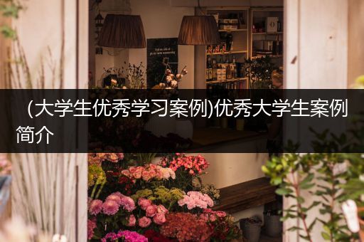 （大学生优秀学习案例)优秀大学生案例简介