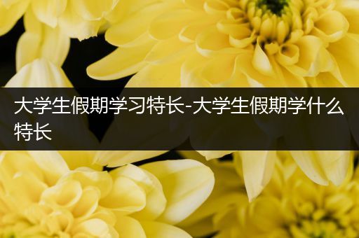 大学生假期学习特长-大学生假期学什么特长