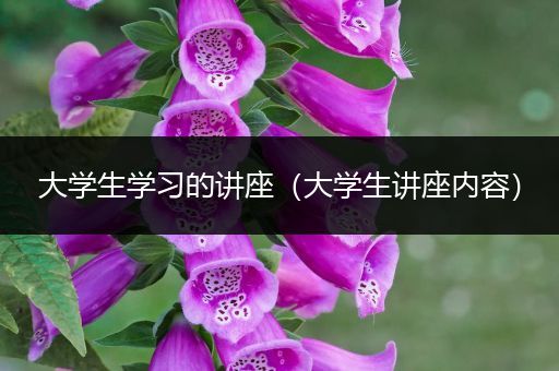 大学生学习的讲座（大学生讲座内容）