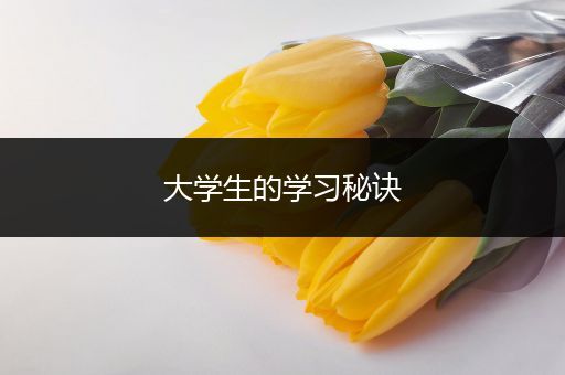 大学生的学习秘诀