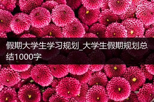 假期大学生学习规划_大学生假期规划总结1000字