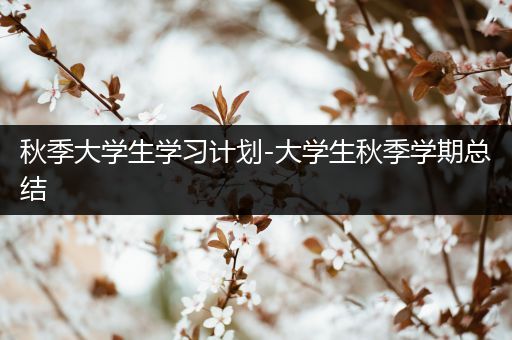 秋季大学生学习计划-大学生秋季学期总结
