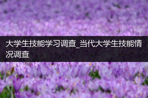 大学生技能学习调查_当代大学生技能情况调查