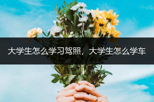 大学生怎么学习驾照，大学生怎么学车