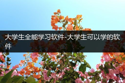 大学生全能学习软件-大学生可以学的软件