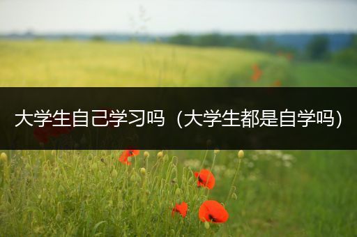 大学生自己学习吗（大学生都是自学吗）