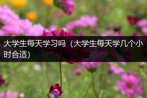 大学生每天学习吗（大学生每天学几个小时合适）