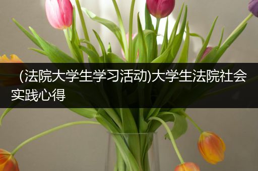 （法院大学生学习活动)大学生法院社会实践心得