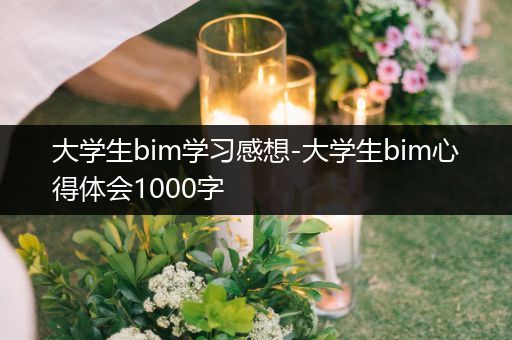 大学生bim学习感想-大学生bim心得体会1000字