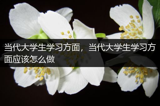当代大学生学习方面，当代大学生学习方面应该怎么做
